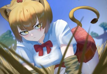 Rule 34 | 1girl, :<, all fours, animal ears, blonde hair, blush, bow, bowtie, brown sleeves, collared shirt, commentary request, detached sleeves, grass, hair between eyes, hair bobbles, hair ornament, highres, kemono friends, lion ears, lion girl, lion tail, masai lion (kemono friends), plaid clothes, plaid skirt, pleated skirt, r (r gavaaim), red bow, red bowtie, red skirt, school uniform, shirt, short hair, short sleeves, sidelocks, skirt, solo, t-shirt, tail, tall grass, white shirt, yellow eyes