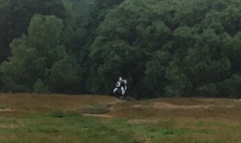 1girl animated animated_gif armor field forest gold_ship_(umamusume) grass medieval monty_python monty_python_and_the_holy_grail nature outdoors parody running scene_reference solo tree umamusume voodoothur