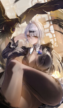 1girl absurdres bird black_bird black_pantyhose black_shirt black_unitard blue_flower blue_rose bodystocking boutonniere breasts chinese_commentary commentary_request flower flower_on_chest grey_hair hair_ornament hairclip highres knee_up large_breasts leo795 long_hair looking_at_viewer official_alternate_costume pantyhose rose shirt sitting solo yellow_eyes yixuan_(trails_of_ink)_(zenless_zone_zero) yixuan_(zenless_zone_zero) zenless_zone_zero