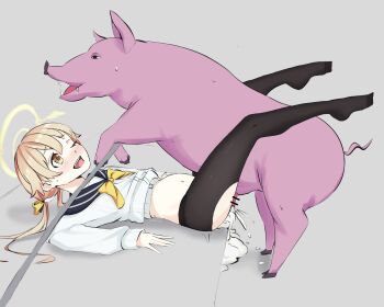 absurdres animal_penis bestiality big_belly blue_archive cum_inflation doggystyle hifumi_(blue_archive) highres inflation interspecies murahanasaki penis pig sex sex_from_behind
