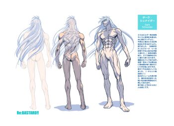absurdres armor bastard!! dark_schneider hagiwara_kazushi highres long_hair modeling muscular muscular_male nude_modeling null_bulge reference_sheet silver_hair very_long_hair
