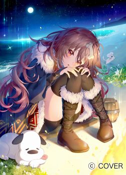 1girl absurdres animal_ears beach bike_shorts bike_shorts_under_skirt black_shorts black_thighhighs blue_cloak bone_hair_ornament boots bracer braid brown_boots brown_eyes brown_hair campfire cartoon_bone cloak commentary_request copyright_name dog_ears dog_girl full_moon fur-trimmed_boots fur-trimmed_cloak fur_skirt fur_trim futo-inu hair_ornament hands_on_own_knees highres hololive hoso-inu inugami_korone inugami_korone_(viking) knee_boots knees_together_feet_apart knees_up long_hair looking_at_viewer messy_hair miniskirt moon mucchiri_shiitake night night_sky official_alternate_costume official_art outdoors red_skirt shorts side_braid sitting skirt sky solo star_(sky) starry_sky swept_bangs thighhighs very_long_hair virtual_youtuber