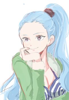 Rule 34 | 1girl, aqua hair, brown eyes, closed mouth, green jacket, head rest, highres, jacket, looking to the side, n i c0, nefertari vivi, one piece, ponytail, simple background, smile, solo, white background