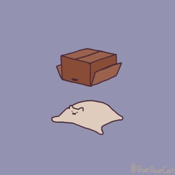 :3 animal_focus animated animated_gif blue_background box cardboard_box cat commentary english_commentary everydayonecat falling hashtag looping_animation no_humans original simple_background white_cat