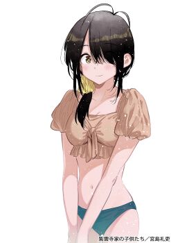 Rule 34 | 1girl, absurdres, antenna hair, bikini, bikini day, black bikini, black hair, breasts, cleavage, closed mouth, collarbone, commentary request, copyright name, hair ornament, hair over one eye, hair over shoulder, hair scrunchie, highres, light blush, long hair, looking at viewer, medium breasts, miyajima reiji, navel, official art, one eye covered, ponytail, puffy short sleeves, puffy sleeves, scrunchie, shiunji-ke no kodomotachi, shiunji kotono, short sleeves, simple background, smile, solo, stomach, swimsuit, white background, yellow bikini, yellow eyes, yellow scrunchie