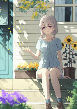 1girl absurdres blue_shirt blue_socks boots brown_boots closed_mouth commentary_request curtains flower grey_hair highres looking_to_the_side medium_hair original outdoors purple_eyes senri_(senri_sen) shirt short_sleeves shorts sitting smile socks solo sunflower white_shorts window yellow_flower