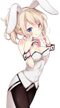 1girl animal_ears aoyama_blue_mountain bare_shoulders blue_eyes blush breasts brown_hair closed_mouth commentary_request cowboy_shot gochuumon_wa_usagi_desu_ka? highres itamochi leotard looking_at_viewer medium_breasts pantyhose playboy_bunny ponytail rabbit_ears simple_background smile solo standing white_background white_leotard wrist_cuffs
