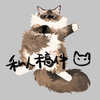 animal animal_focus blue_eyes brown_cat cat commission fluffy full_body grey_background looking_at_viewer lying no_humans on_back original ragdoll_(cat) simple_background solo watermark xiao_bo_kuai_kuai