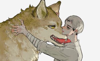 1boy adam's_apple animal animalization bandaged_arm bandages black_hair coco_(238243) collared_shirt colored_tips commentary fangs grey_hair haikyuu!! hand_on_another's_ear highres kita_shinsuke licking licking_another's_neck lower_teeth_only male_focus miya_atsumu multicolored_hair open_mouth parted_bangs saliva sharp_teeth shirt short_hair simple_background symbol-only_commentary teeth tongue tongue_out white_background white_shirt wolf yellow_eyes