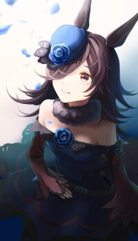 1girl absurdres animal_ears bare_shoulders belt blue_dress blue_flower blue_hat blue_rose blush breasts brown_belt brown_hair commentary_request dagger dress flipped_hair flower fur_choker hair_over_one_eye hat hat_flower highres horse_ears horse_girl horse_tail knife long_hair long_sleeves looking_up off-shoulder_dress off_shoulder parted_lips purple_eyes rice_shower_(rosy_dreams)_(umamusume) rice_shower_(umamusume) rose sheath sheathed small_breasts smile soidaizu_soy solo tail tilted_headwear umamusume weapon