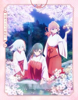 3girls amagami-san_chi_no_enmusubi amagami_asahi amagami_yae amagami_yuna anime_coloring black_hair blu-ray_cover blue_eyes border cherry_blossoms commentary_request copyright_name cover floating_hair flower green_eyes hakama hakama_skirt hand_up iizuka_haruko japanese_clothes kosode long_hair looking_down looking_to_the_side medium_hair miko multiple_girls night official_art outdoors petals pink_border pink_flower pink_petals red_eyes red_hair red_hakama seiza siblings sisters sitting skirt sky squatting standing v_arms water white_hair wide_sleeves