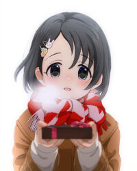 Rule 34 | 1girl, black hair, blush, box, breath, brown coat, coat, gift, gift box, hair ornament, highres, holding, holding box, idolmaster, idolmaster cinderella girls, incoming gift, long sleeves, looking at viewer, megabee e, open mouth, rabbit hair ornament, sasaki chie, scarf, short hair, simple background, solo, twitter username, two-tone scarf, upper body, white background