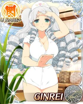 1girl ahoge aqua_eyes black_hairband breasts card_(medium) cleavage closed_mouth coat drill_hair drill_sidelocks flower game_cg ginrei_(senran_kagura) grey_hair hair_flower hair_ornament hairband hand_on_own_forehead hat indoors large_breasts long_hair looking_at_viewer multiple_drills non-web_source nurse nurse_cap official_alternate_costume official_art outstretched_arm partially_unbuttoned plant senran_kagura senran_kagura_new_wave sidelocks smile solo white_coat white_hat zodiac_wheel