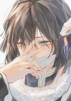 1boy animal animal_around_neck aqua_eyes black_hair blush commentary demon_slayer_uniform hand_on_own_face heterochromia hiba_riko highres iguro_obanai kaburamaru kimetsu_no_yaiba male_focus short_hair shy simple_background snake snake_wrapped_around_neck solo symbol-only_commentary white_background white_snake yellow_eyes