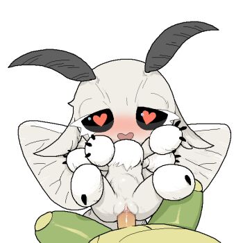 Rule 34 | 1boy, 1girl, antennae, arthropod girl, arthropod limbs, black sclera, blush, bug, colored sclera, extra arms, eyelashes, fur, half-closed eyes, heart, heart-shaped pupils, hetero, insect girl, insect wings, lying, missionary, moth antennae, moth girl, moth wings, on back, open mouth, original, penis, pussy, sex, simple background, solo focus, spread legs, stomach bulge, symbol-shaped pupils, thighs, tosx, vaginal, white background, wings