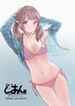 1girl bikini breasts brown_eyes brown_hair commentary_request cowboy_shot cyan_(sasukeone3) highres looking_at_viewer medium_breasts navel original parted_lips pink_bikini plaid_bikini plaid_clothes side-tie_bikini_bottom signature solo stomach swimsuit swimsuit_cover-up twintails twitter_username