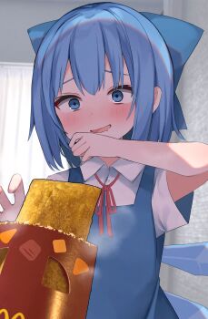 Rule 34 | 1girl, absurdres, blue bow, blue dress, blue eyes, blue hair, blush, bow, cirno, collared shirt, commentary request, dress, drooling, food, hair bow, highres, ice, ice wings, karasusou nano, mcdonald's, mouth drool, neck ribbon, pie, red ribbon, ribbon, shirt, solo, steam, touhou, upper body, white shirt, wings