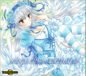 Rule 34 | 1girl, blue ribbon, blush, breasts, cleavage, commentary request, dress, flower, frilled dress, frilled hairband, frilled skirt, frilled sleeves, frills, hairband, lolita fashion, long hair, red eyes, ribbon, rose, rozen maiden, skirt, striped clothes, striped thighhighs, suigintou, tamagoboro, thighhighs, white hair