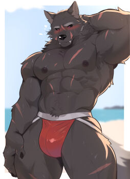 1boy abs absurdres animal_ears arm_behind_head armpits bara bare_pectorals beach biceps black_fur blaidd_the_half-wolf blush bulge claws closed_mouth commentary elden_ring english_commentary flying_sweatdrops furry furry_male hand_on_own_head highres jockstrap looking_down male_focus male_underwear multiple_scars muscular muscular_male navel nipples ocean pectorals red_male_underwear scar scar_on_arm scar_on_chest scar_on_face scar_on_leg scar_on_stomach tail teo_(placid69) topless_male underwear wolf_boy wolf_ears wolf_tail