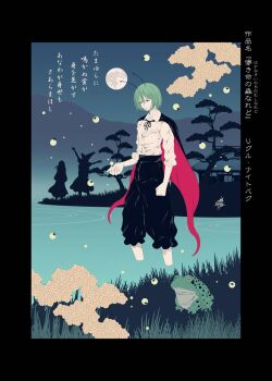 1girl antennae black_border black_cape border cape fireflies frog green_eyes green_hair hakurei_reimu highres kirisame_marisa outdoors red_cape signature solo_focus touhou two-sided_cape two-sided_fabric wading water wriggle_nightbug yamada_satoshi