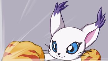 animal_hands blue_eyes cat clenched_hand digimon digimon_(creature) gloves grey_background highres m_shamoji paw_gloves punching simple_background solo tailmon thumbnail_collage whiskers yellow_gloves