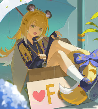 1girl :d absurdres animal_ears black_shirt blonde_hair bow box cardboard_box collared_shirt commentary_request english_text fang fingerless_gloves flower gloves green_eyes heart highres hydrangea in_box in_container ju_fufu lingdu_han long_hair long_sleeves looking_at_viewer multicolored_hair open_mouth rain shirt shoes sitting skin_fang smile sneakers socks solo tail tail_bow tail_ornament tiger_ears tiger_girl tiger_tail umbrella white_socks zenless_zone_zero