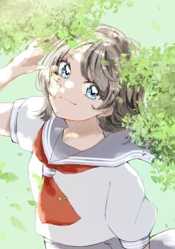 1girl arm_up blue_eyes blush brown_hair highres leaves love_live! love_live!_sunshine!! necktie nose outdoors school_uniform serafuku smile solo sunlight tree uranohoshi_school_uniform watanabe_you
