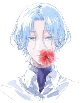 Rule 34 | 1boy, blue hair, collared shirt, commentary request, flower, flower request, green eyes, hasegawa langa, looking at viewer, male focus, mouth hold, portrait, red flower, shatin (pomelomcp), shirt, short hair, simple background, sk8 the infinity, solo, white background, white shirt