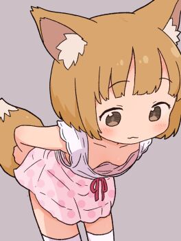 1girl :3 absurdres animal_ears bent_over blush breasts brown_eyes brown_hair collarbone fox_ears fox_girl fox_tail grey_background hanging_breasts highres irohiza loli looking_down original pink_skirt polka_dot polka_dot_skirt red_ribbon ribbon shirt short_hair skirt sleeveless sleeveless_shirt small_breasts smile standing tail thighhighs white_shirt white_thighhighs