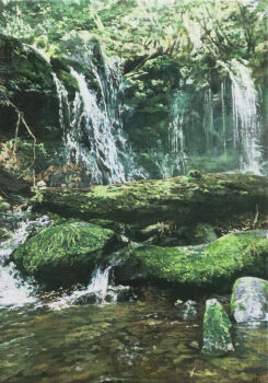 commentary_request day fallen_tree forest highres naohiro_ito nature no_humans original outdoors painting_(medium) realistic river riverbank scenery shadow sunlight traditional_media tree