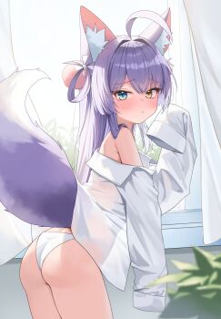 1girl absurdres animal_ear_fluff animal_ears blue_eyes blush brown_eyes curtains day embarrassed fox_ears fox_girl fox_tail heterochromia highres indoors long_hair long_sleeves looking_at_viewer muru_(muru_zi) no_pants off_shoulder open_clothes open_shirt panties plant pom_pom_(clothes) purple_hair raised_inner_eyebrows see-through_clothes see-through_shirt shirt sleeves_past_fingers sleeves_past_wrists stellive tail tenko_shibuki underwear white_panties white_shirt window