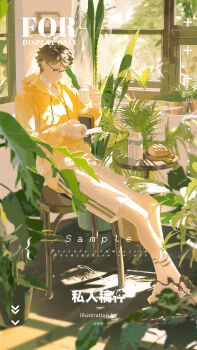 1boy absurdres book bread brown_eyes brown_hair chair crossed_legs cup curtains drink_carton food haikyuu!! highres holding holding_book holding_cup hood hoodie jiyun0805 loaf_of_bread male_focus milk_carton oikawa_tooru_(haikyuu!!) on_chair plant potted_plant reading sample_watermark see-through_curtains short_hair shorts socks solo steam watermark white_footwear white_shorts white_socks window yellow_hoodie