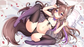 1girl animal_ear_fluff animal_ear_legwear animal_ears black_bra black_panties black_thighhighs bra breasts brown_hair claw_pose collar fox_ears fox_girl fox_tail frilled_pillow frills full_body ghost_hair_ornament gradient_thighhighs head_on_pillow highres indie_virtual_youtuber jirafuru long_hair looking_at_viewer lying multicolored_hair navel nubchann on_back panties petals pillow purple_eyes purple_hair purple_thighhighs raised_inner_eyebrows sparkle stomach streaked_hair tail thighhighs two-tone_hair underwear virtual_youtuber