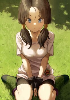 Rule 34 | 1girl, bike shorts, black gloves, black hair, blue eyes, boots, breasts, dragon ball, dragonball z, expressionless, fagi (kakikaki), fingerless gloves, gloves, grass, hair tubes, highres, long shirt, looking at viewer, low twintails, medium breasts, shirt, short sleeves, short twintails, sitting, solo, twintails, videl, wariza, white shirt