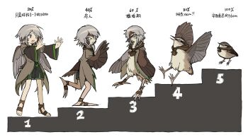 ambiguous_gender bird boli_yan_moni_qi brown_scarf feathers furry furry_scale grey_eyes grey_hair hashtag-only_commentary highres houlen_yabusame len'en open_mouth sandals scarf smile talons white_background