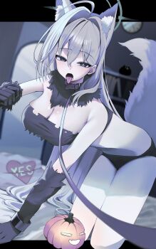 1girl 966_kururu_966 absurdres ahoge animal_collar animal_ears bare_shoulders black_fur black_gloves black_panties black_tube_top blue_archive blue_eyes blue_halo breasts cleavage collar commentary_request fur_collar fur_gloves gloves grey_hair hair_between_eyes hair_intakes halo heterochromia highres jack-o'-lantern kneeling large_breasts leash long_hair looking_at_viewer open_mouth panties shiroko_terror_(blue_archive) solo strapless tail thighs tongue tongue_out tube_top underwear very_long_hair wolf_ears wolf_tail