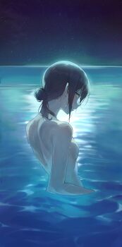 1girl absurdres back black_choker black_hair breasts chainsaw_man choker commentary_request from_behind green_eyes hair_bun highres horizon moonlight night night_sky nude ocean partially_submerged reze_(chainsaw_man) sky small_breasts smile12190 solo star_(sky) starry_sky water wet