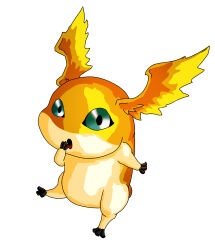 Rule 34 | digimon, digimon (creature), looking at viewer, patamon, simple background, solo, white background, wings