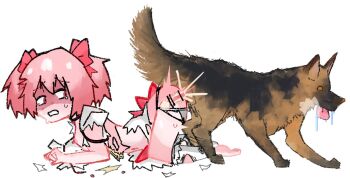 1girl all_fours animal_ears animal_penis artiction ass-to-ass bestiality bow censored cum cum_in_pussy cum_overflow defeated_heroin dog dog_ears doggystyle drooling feet from_side hair_bow kaname_madoka kaname_madoka_(magical_girl) knotted_penis loli looking_back mahou_shoujo_madoka_magica navel nipples orange_eyes penis pink_eyes pink_hair rape saliva scared sex sex_from_behind simple_background steam sweat tail tears teeth tongue torn_clothes torn_socks white_background zoophilia