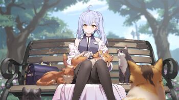 1girl aged_up ahoge animal animal_on_lap artist_request azur_lane bag bare_shoulders bench black_pantyhose blue_sky blurry blurry_background blurry_foreground blush breasts calico_(pattern) cat choker cleavage closed_mouth cloud cloudy_sky coat collar collarbone collared_shirt day depth_of_field feet_out_of_frame grey_hair highres holding id_card lab_coat long_hair long_sleeves looking_at_viewer mole name_tag non-web_source oceana_(azur_lane) off_shoulder official_art on_bench on_lap open_clothes open_coat orange_eyes outdoors panties panties_under_pantyhose pantyhose pantyshot park park_bench petting ponytail purple_shirt shirt side_ponytail siren_(azur_lane) sitting sitting_on_bench skirt sky sleeveless sleeveless_shirt smile solo stethoscope thighband_pantyhose tree underwear white_coat white_panties yellow_eyes