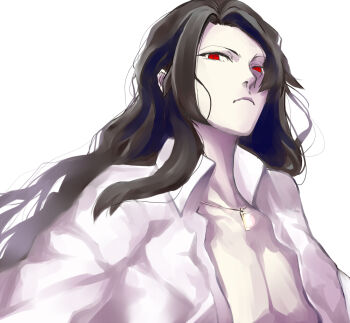 Rule 34 | 1boy, collared shirt, iro (sekaixiro), long hair, looking at viewer, male focus, michael roa valdamjong, open clothes, open shirt, partially shaded face, pectorals, profile, red eyes, shirt, tsukihime, vampire, wavy hair, white background, white shirt
