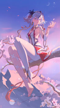 1girl absurdres barefoot black_flower blake_bloom_(wuthering_waves) blue_eyes breasts camellya_(wuthering_waves) chinese_commentary collar commentary_request dress earrings flower gold_earrings hair_between_eyes hair_flower hair_ornament hair_ribbon hair_vines hand_up highres jewelry looking_to_the_side medium_breasts on_branch pantyhose parted_lips red_ribbon ribbon rishiyo_(mcfa5282) short_hair short_twintails sideless_dress single_leg_pantyhose sitting sitting_on_branch solo twintails white_collar white_dress white_hair white_pantyhose wuthering_waves