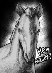 Rule 34 | absurdres, animal, animal ears, animal focus, black background, english text, greyscale, hatching (texture), highres, horse, horse ears, how hungry... (meme), looking at viewer, mane, meme, monochrome, no humans, original, realistic, shadow, speedl00ver, talking animal
