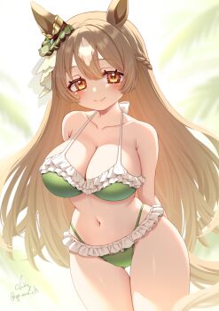 1girl alternate_costume animal_ears arms_behind_back backlighting bikini blurry blurry_background blush braid breasts brown_hair cleavage closed_mouth collarbone commentary_request cowboy_shot curvy ear_ornament frilled_bikini frills green_bikini hair_between_eyes half_up_braid halterneck highleg highleg_bikini horse_ears horse_girl horse_tail komaki_yuzu large_breasts long_hair looking_at_viewer mixed-language_commentary multicolored_hair nabel satono_diamond_(umamusume) signature smile solo streaked_hair swimsuit tail thigh_gap thong thong_bikini umamusume white_streaks wide_hips