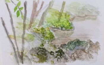 absurdres bush commentary_request day harusa1107 highres nature no_humans original painting_(medium) plant pond scenery sketch traditional_media tree unfinished water watercolor_(medium)