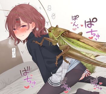 1girl bar_censor bed bestiality blush breasts brown_eyes brown_hair bug censored clothed_sex clothing_aside grasshopper heart higuchi_madoka idolmaster idolmaster_cinderella_girls insect japanese_text looking_at_viewer medium_breasts medium_hair neku_oneneko on_bed panties panties_aside pussy sex sex_from_behind speech_bubble thought_bubble underwear vaginal white_panties