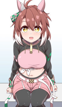 Rule 34 | 1girl, :d, animal ears, belt, bow, breasts, brown hair, commentary request, dantsu flame (center spotlight) (umamusume), dantsu flame (umamusume), ear covers, ear ribbon, hiro (pqtks113), horse ears, horse girl, horse tail, large breasts, looking at viewer, midriff, multicolored hair, navel, open mouth, pink shorts, shorts, sitting, smile, solo, tail, two-tone hair, umamusume, white belt, white hair