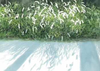 Rule 34 | abe toshiyuki, commentary request, highres, leaf, no humans, original, painting (medium), plant, plant focus, plant request, scenery, shadow, still life, traditional media, watercolor (medium)