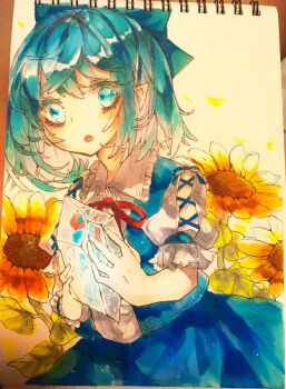 1girl blue_bow blue_eyes blue_hair blue_skirt blue_vest bow cirno commentary_request cowboy_shot flower hair_bow highres ice looking_at_viewer neck_ribbon open_mouth pointy_ears puffy_short_sleeves puffy_sleeves red_ribbon ribbon shinjitsu_no_kuchi shirt short_hair short_sleeves skirt skirt_set solo sunflower touhou traditional_media vest white_background white_shirt