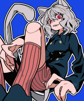 1girl absurdres androgynous animal_ears black_jacket black_shoes blue_background breasts cat_ears cat_tail chimera_ant collared_jacket commentary_request cowboy_shot curly_hair fang fang_out fingernails full_body genderswap genderswap_(otf) grey_hair highres hunter_x_hunter jacket joints long_sleeves looking_at_viewer medium_hair neferpitou outline poa_poa05 red_eyes ribbed_shorts sharp_fingernails sharp_teeth shoes shorts simple_background sitting slit_pupils small_breasts tail teeth white_outline
